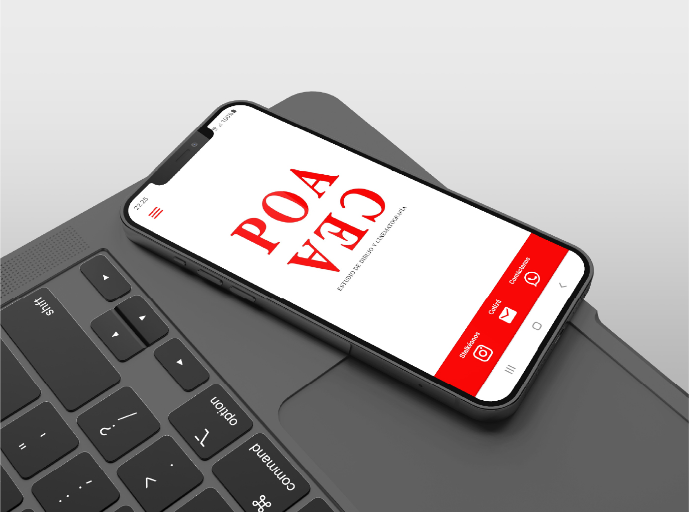 Proyecto POACEA vista 7